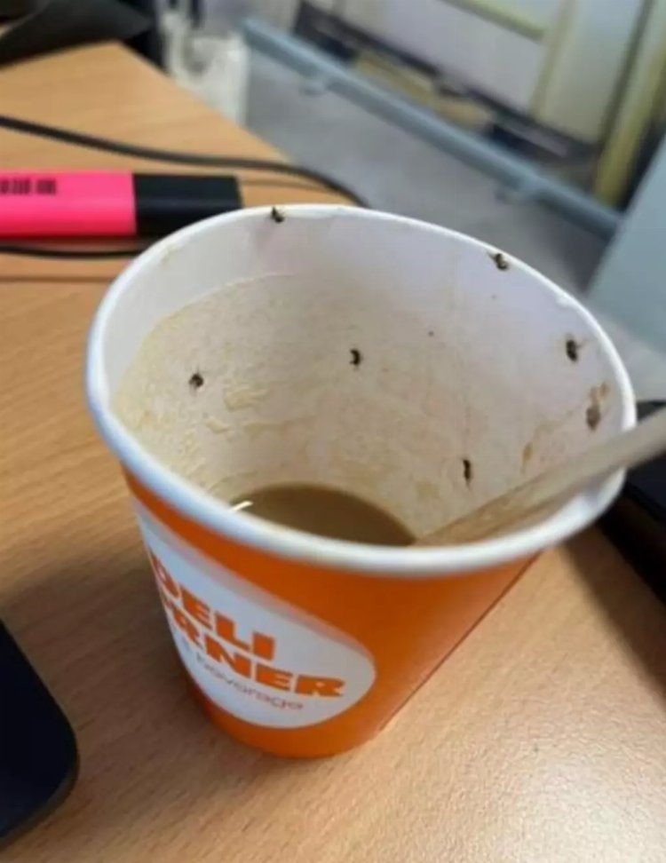 kahve otomatından böcek çıktı