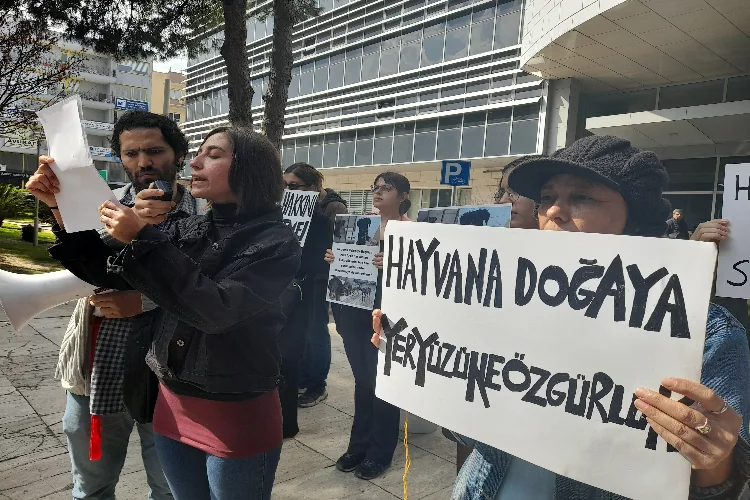 Hayvanseverlerden Gaziemir Belediyesi önünde protesto eylemi