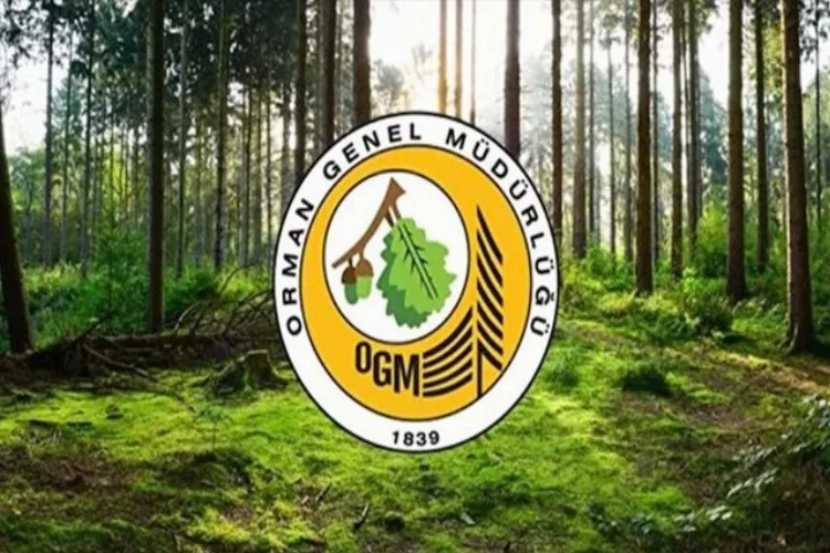 Orman Genel Müdürlüğü 249 Orman Mühendisi alacak