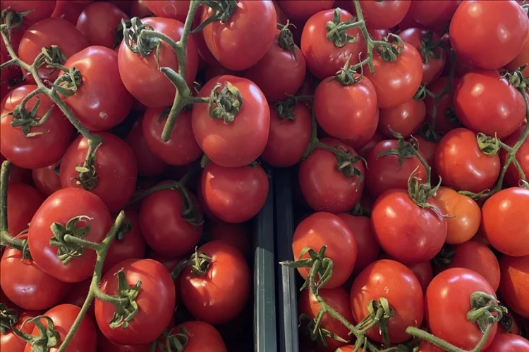 14 Nisan'a kadar domates ihracatına kısıtlama