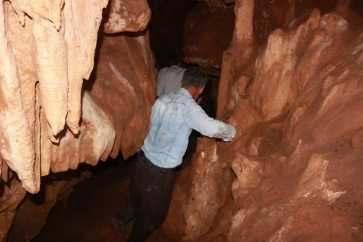 3 arkadaş yarasa mağarasını keşfetti