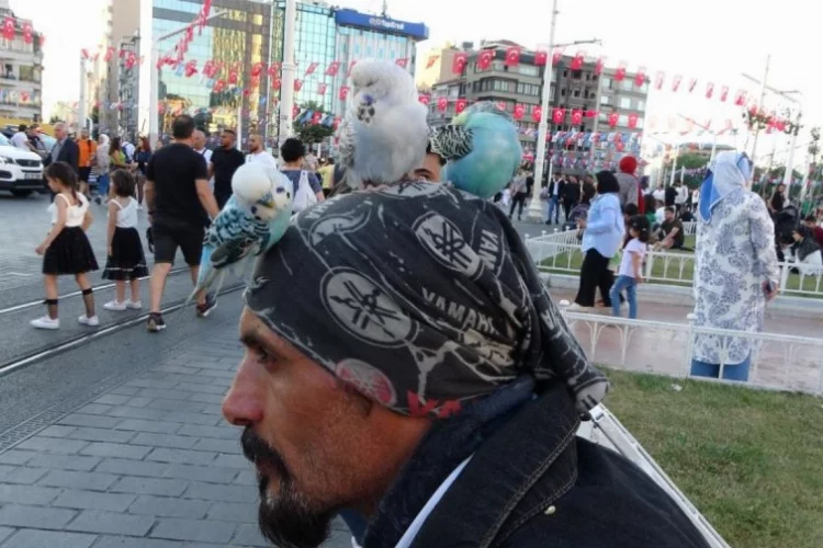 Başında 3 muhabbet kuşuyla Taksim'i geziyor