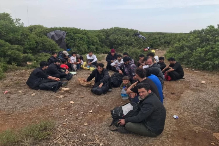 Aydın'da ormanlık alanda düzensiz göçmen yakalandı