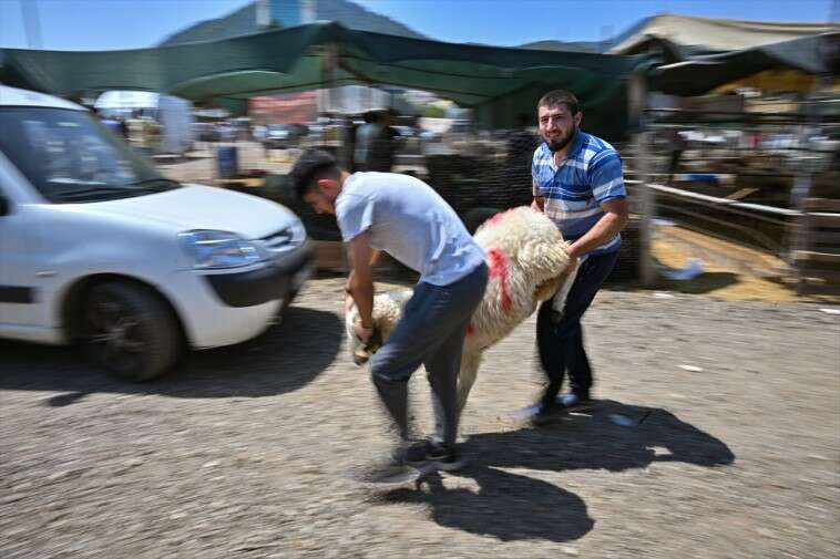 İzmir'de Kurban Bayramı'nın ilk günü kurbanlıkların satışa sunulduğu hayvan pazarlarında yoğunluk yaşanıyor