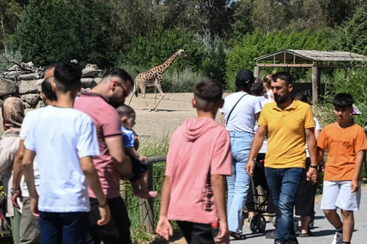 İzmir Doğal Yaşam Parkı çocukların ilgi odağı oldu