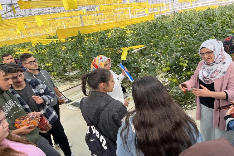 Afyonkarahisar'da MYO öğrencileri sera uygulamalarını yerinde inceledi