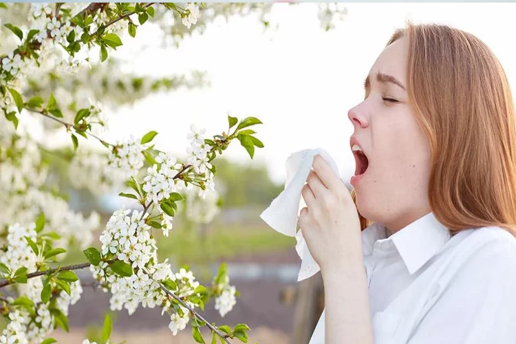 Uzmanlardan mevsimsel alerjilere karşı öneri