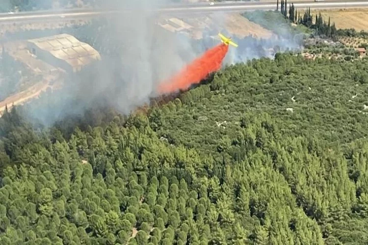 Antalya'da iki ayrı noktada orman yangını!