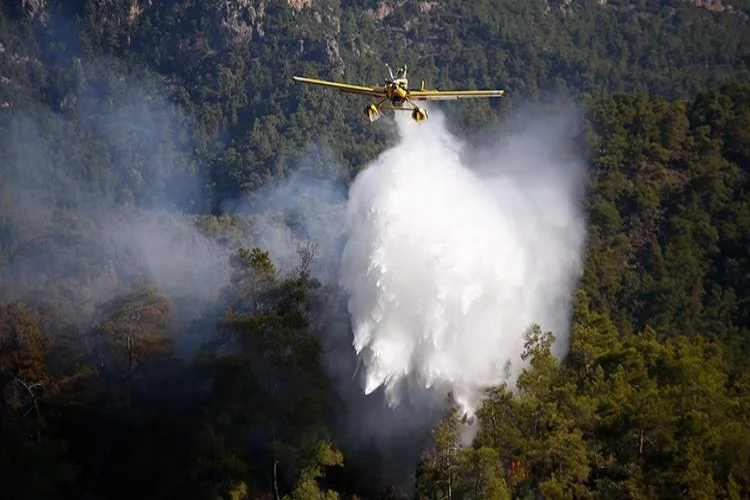 Antalya'da orman yangını! Müdahale sürüyor