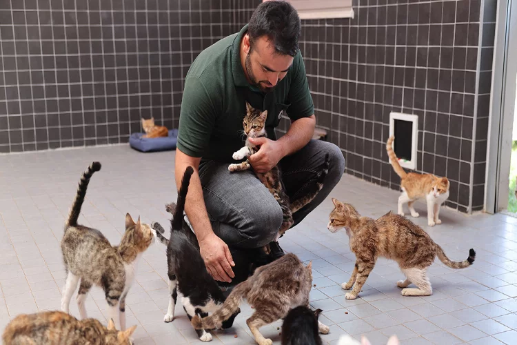 Antalya'da binlerce sokak hayvanının bakımı yapıldı