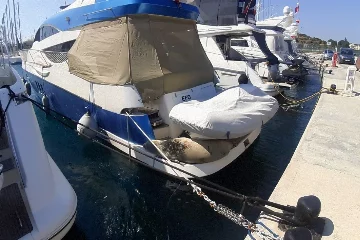 Didim'de Akdeniz foku tekneye sığındı