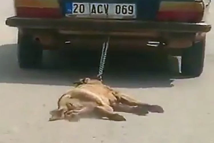 Köpeğini sürükleyerek öldüren sürücüden skandal savunma