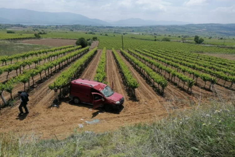 Manisa'da kaza: Araç üzüm bağına düştü
