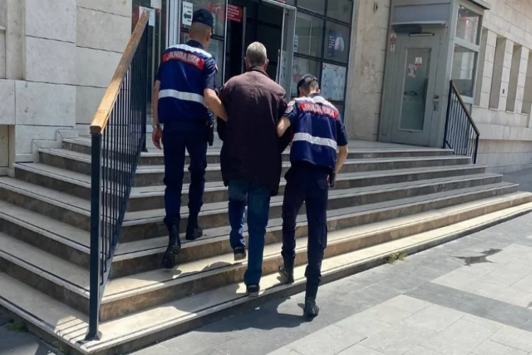Aydın'da jandarma ekipleri aranan şahıslara göz açtırmıyor