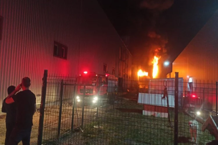 Bursa’da kauçuk fabrikasında yangın