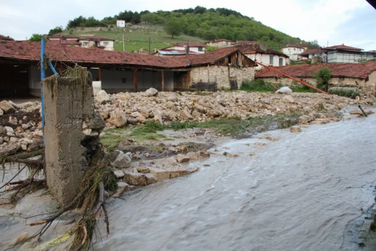 Eskişehir'de evler yıkıldı, hayvanlar telef oldu