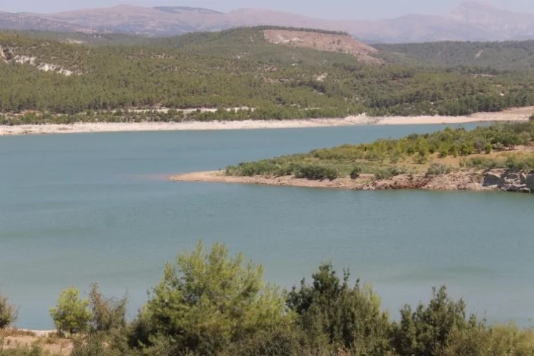 Aydın'da son yağışlar, barajları dolduruyor