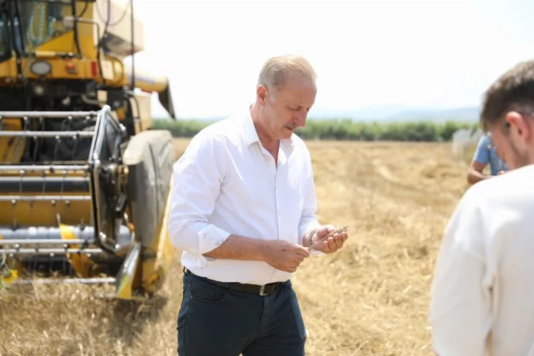Başkan Atabay, Didim'de buğday hasadına katıldı