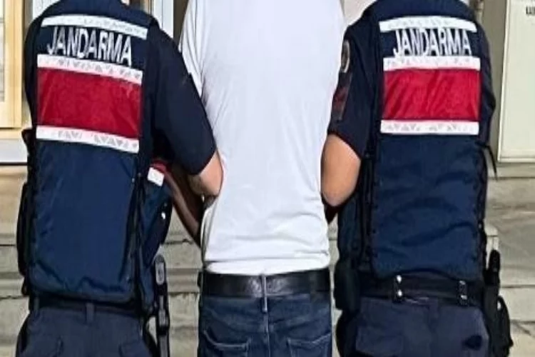 Aydın'da terör operasyonu: 19 gözaltı