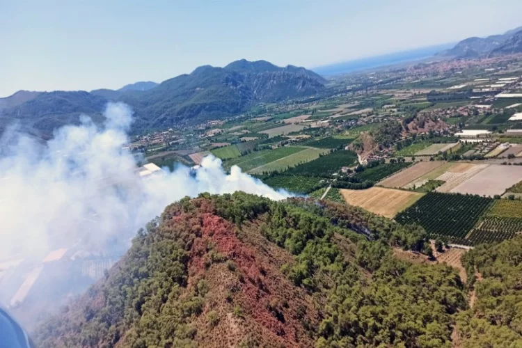 Muğla Ortaca’da orman yangını   