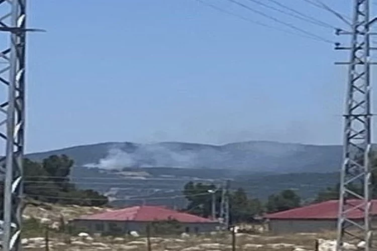 Adana'da korkutan orman yangını!