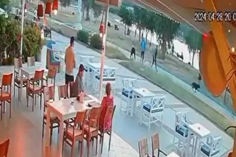 Aydın'da sokak köpeği çocuğa saldırdı