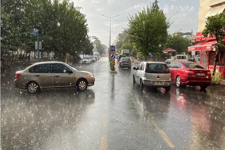 Aydın'da başlayan yağış vatandaşları serinletti