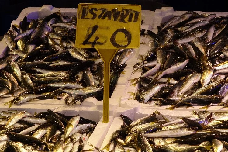 Balık fiyatlar düştü ama Ramazan'da kimse onu yemek istemiyor