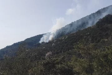 Balıkesir’de orman yangını!