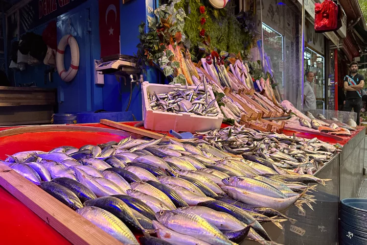 Balık sezonu açıldı tezgahlar renklenmeye başladı