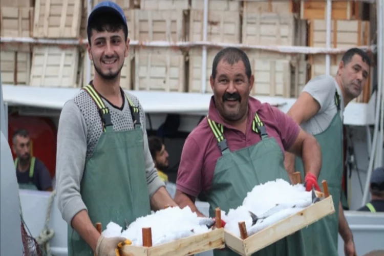 Batı Karadenizli balıkçılar limana bol palamutla döndü