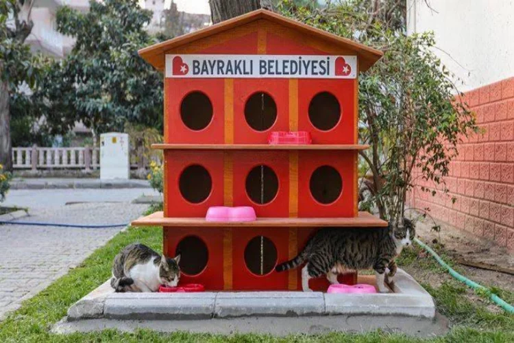 Bayraklı’da kedi evlerinin sayısı arttı
