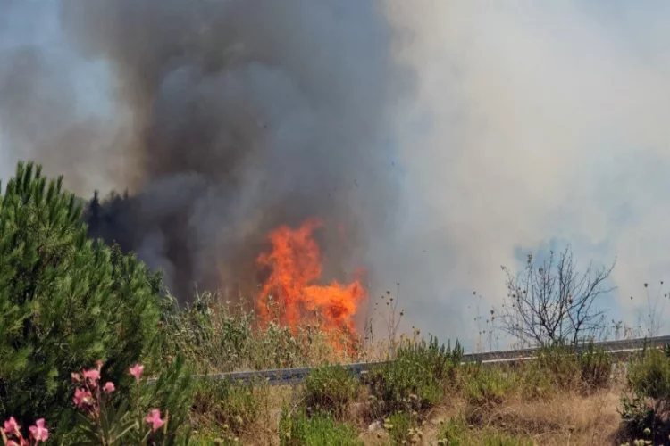 Milas-Bodrum Havalimanı kavşağında yangın