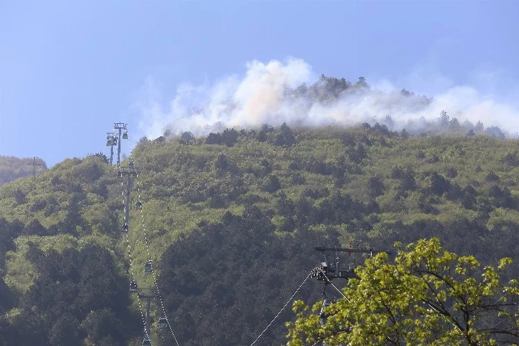 Bursa'da yangın: Çok sayıda ekip sevk edildi