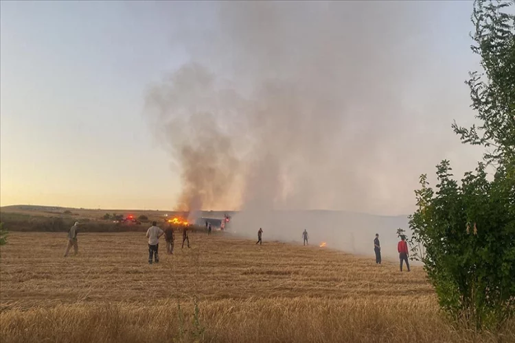 Çankırı'da yangın: 300 dekar arazi zarar gördü