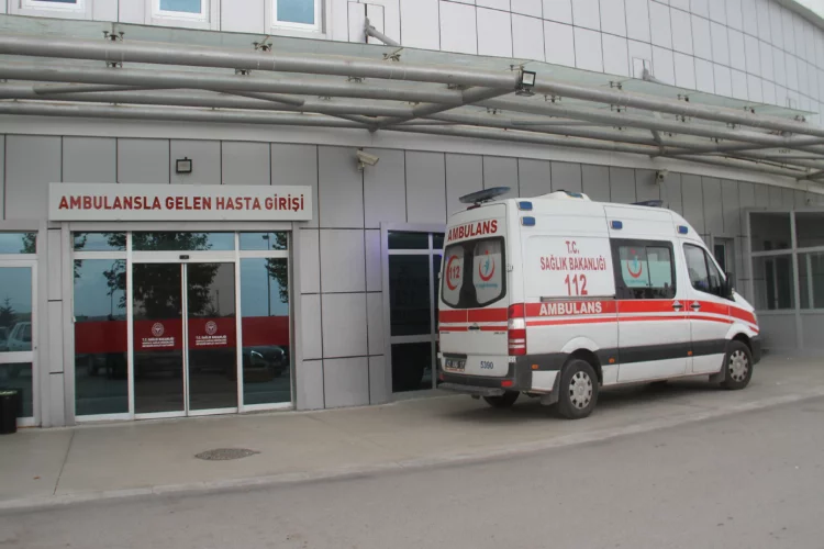 Konya'da ağaçtan düşen 3 kişi hastaneye kaldırıldı