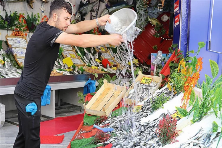 Av yasağı bitti: Edirne'de tezgahlar balıklarla doldu
