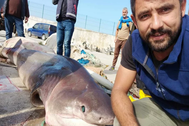 Dev köpekbalığı ile selfie yaptılar