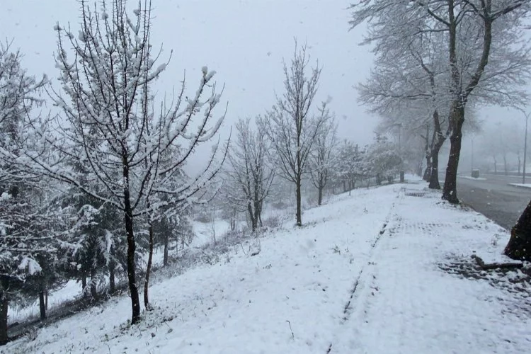 Düzce'de eğitime kar engeli... 26 köy yolu kapandı