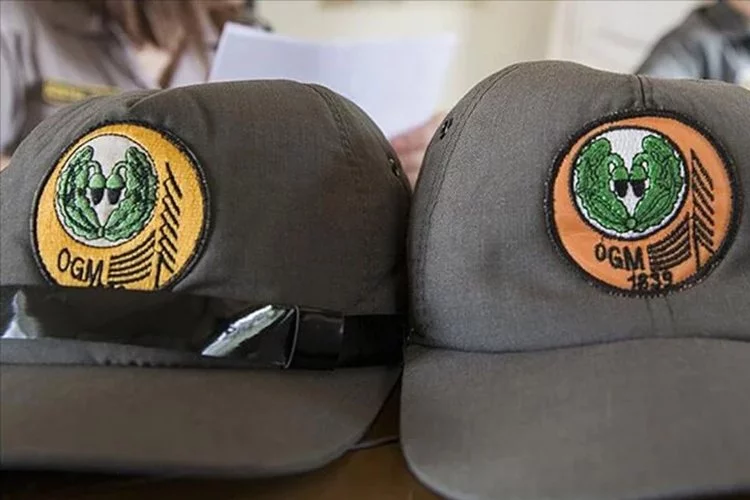 Engelli ve eski hükümlüler istihdam ediliyor: Orman Genel Müdürlüğü 68 işçi alacak
