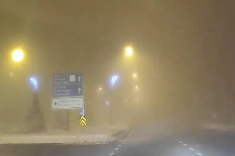 Erzurum'da yoğun sis: Uçaklar iniş yapamadı