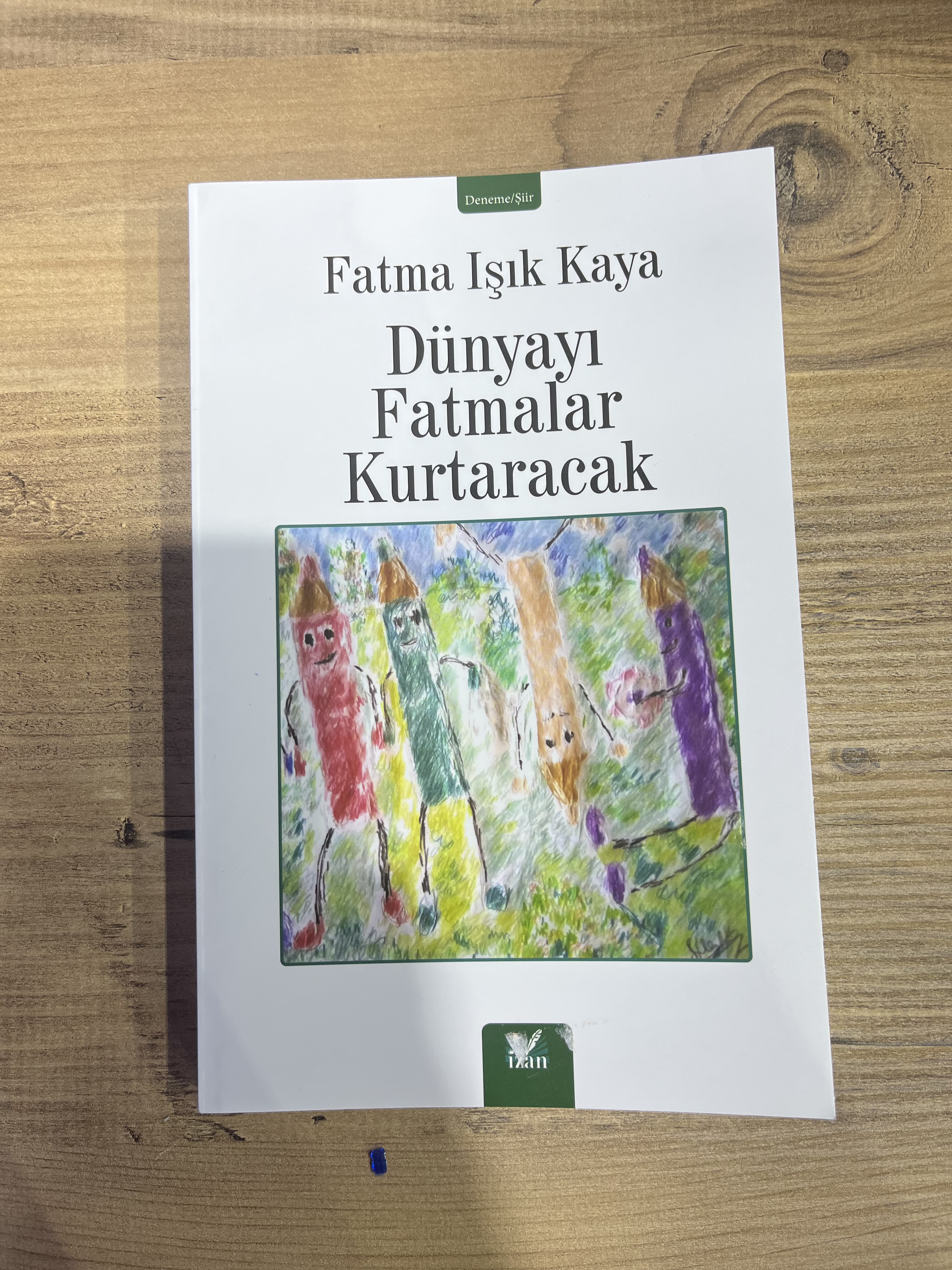 Fatma Işık Kaya_ilkses (4)