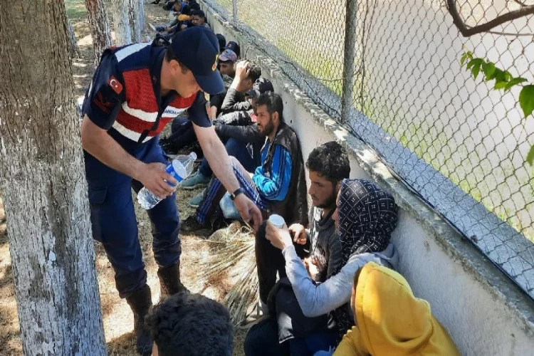 İzmir'de göçmen operasyonu: 156 düzensiz göçmen yakalandı