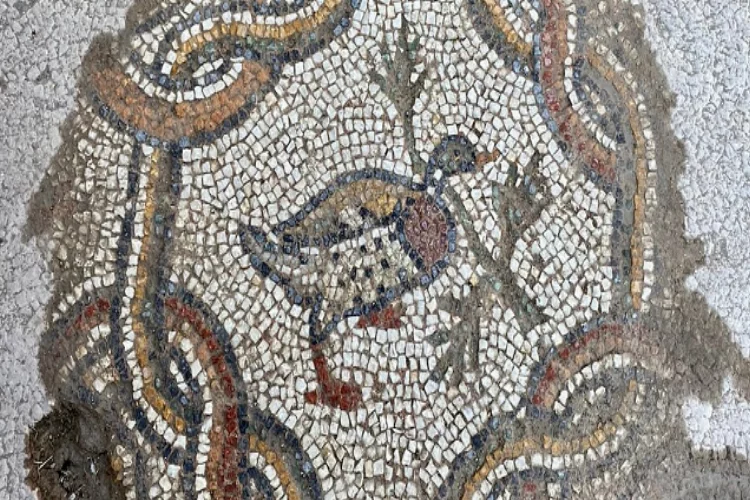 Hadrianaupolis'te üzerinde çeşitli figürlerin bulunduğu yeni mozaikler ortaya çıkarıldı