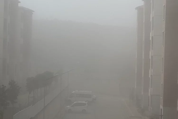 Hakkari'de yoğun sis