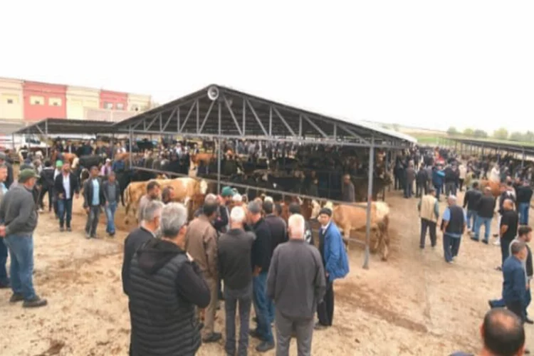 Afyon’da hayvan pazarı yeni yerinde açıldı