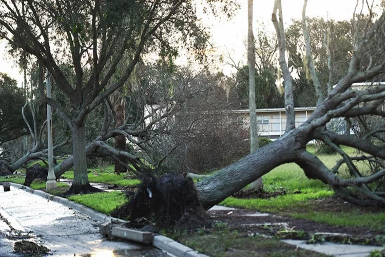 Idalia Fırtınası Florida' kaos getirecek