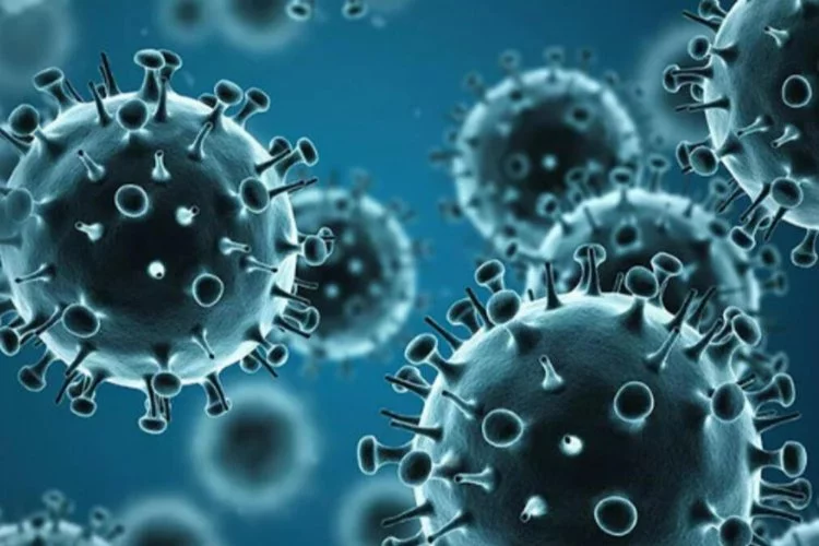 Influenza virüsü nedir? Influenza virüsü kaç gün sürer? Influenza olunca ne olur?