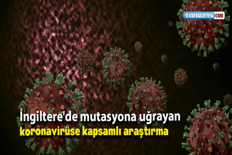 İngiltere'de mutasyona uğrayan koronavirüse kapsamlı araştırma