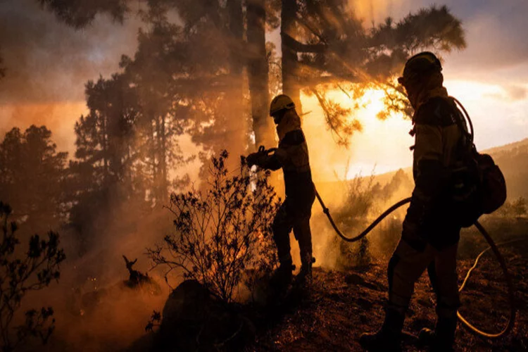 İspanya’da orman yangını nedeniyle 3 bin kişi tahliye edildi